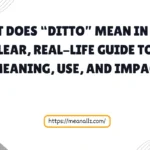 what does ditto mean in text