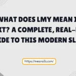 what does lmy mean in text