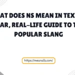 what does ns mean in text