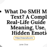 what do smh mean in text