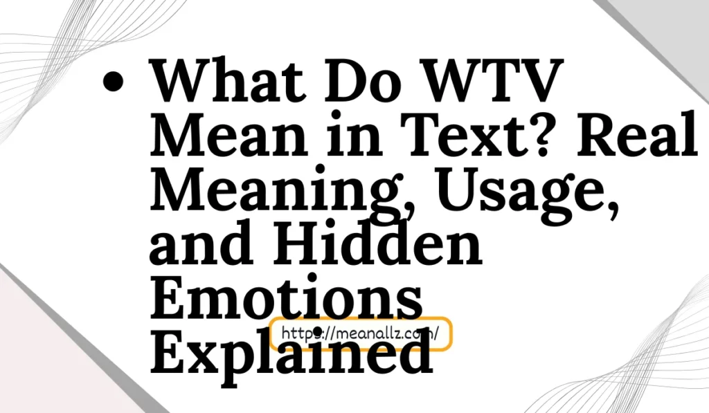 what do wtv mean in text