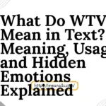 what do wtv mean in text