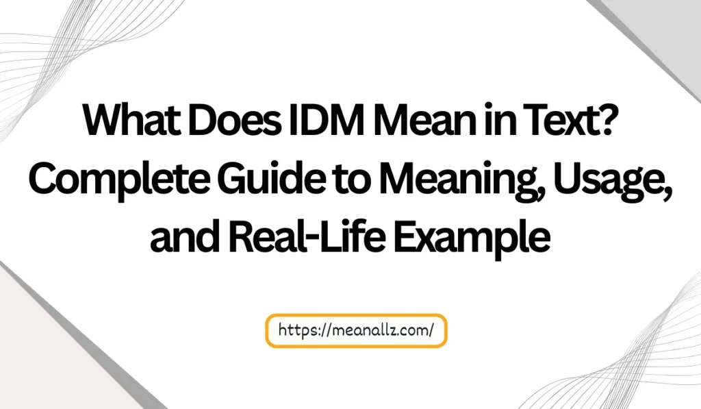 what does idm mean in text