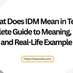 what does idm mean in text