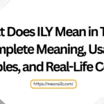 what does ily mean in text
