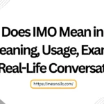 what does imo mean in text