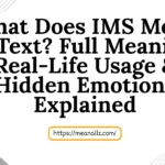 what does ims mean in text
