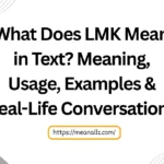 what does lmk mean in text