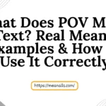 what does pov mean in text