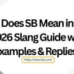 what does sb mean in text