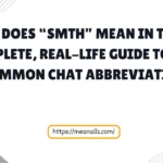 what does smth mean in text