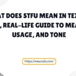 what does stfu mean in text