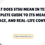 what does stsu mean in text