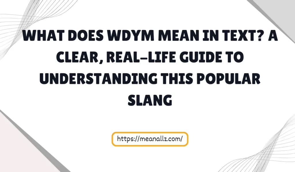 what does wdym mean in text