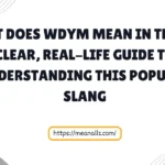 what does wdym mean in text