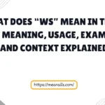 what does ws mean in text