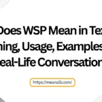 what does wsp mean in text