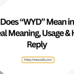 what does wyd mean in text