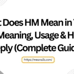 what does hm mean in text