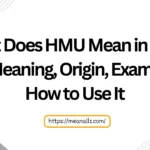 what does hmu mean in text