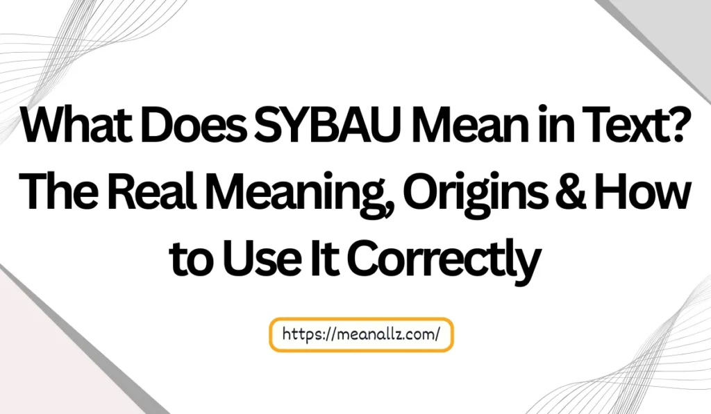 what does sybau mean in text