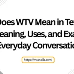 what does wtv mean in text