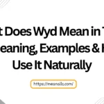 what does wyd mean in text