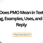 What Does PMO Mean in Text? Real Meaning, Examples, Uses, and How to Reply
