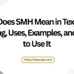 what does smh mean in text