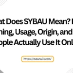 what does sybau mean