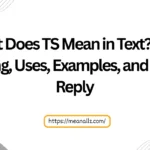 what does ts mean in text