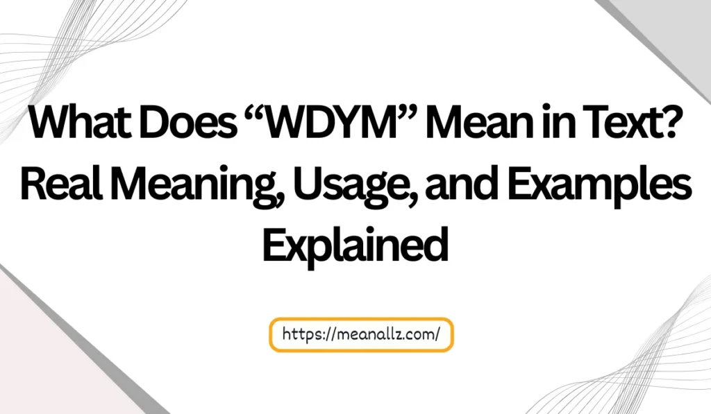 what does wdym mean in text