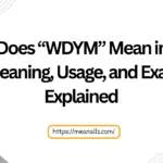 what does wdym mean in text