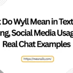 what do wyll mean in text