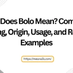 what does bolo mean
