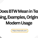 what does btw mean in text