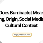 what does bumbaclot mean
