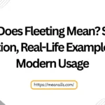 what does fleeting mean