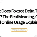 what does foxtrot delta tango mean