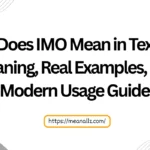 what does imo mean in text
