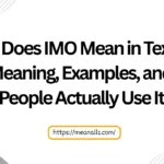 what does imo mean in texting