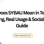 what does sybau mean in text