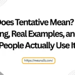 what does tentative mean