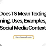 what does ts mean texting