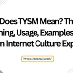 what does tysm mean