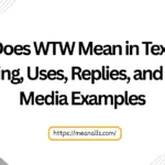 what does wtw mean in text
