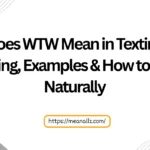 what does wtw mean in texting