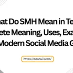 what do smh mean in text