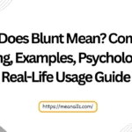 what does blunt mean