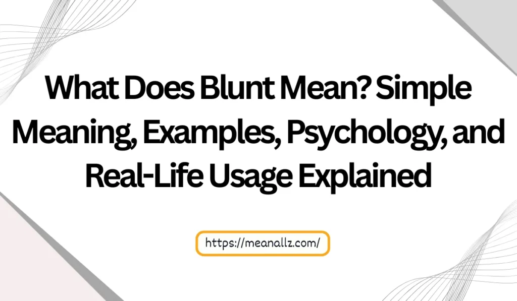 what does blunt mean